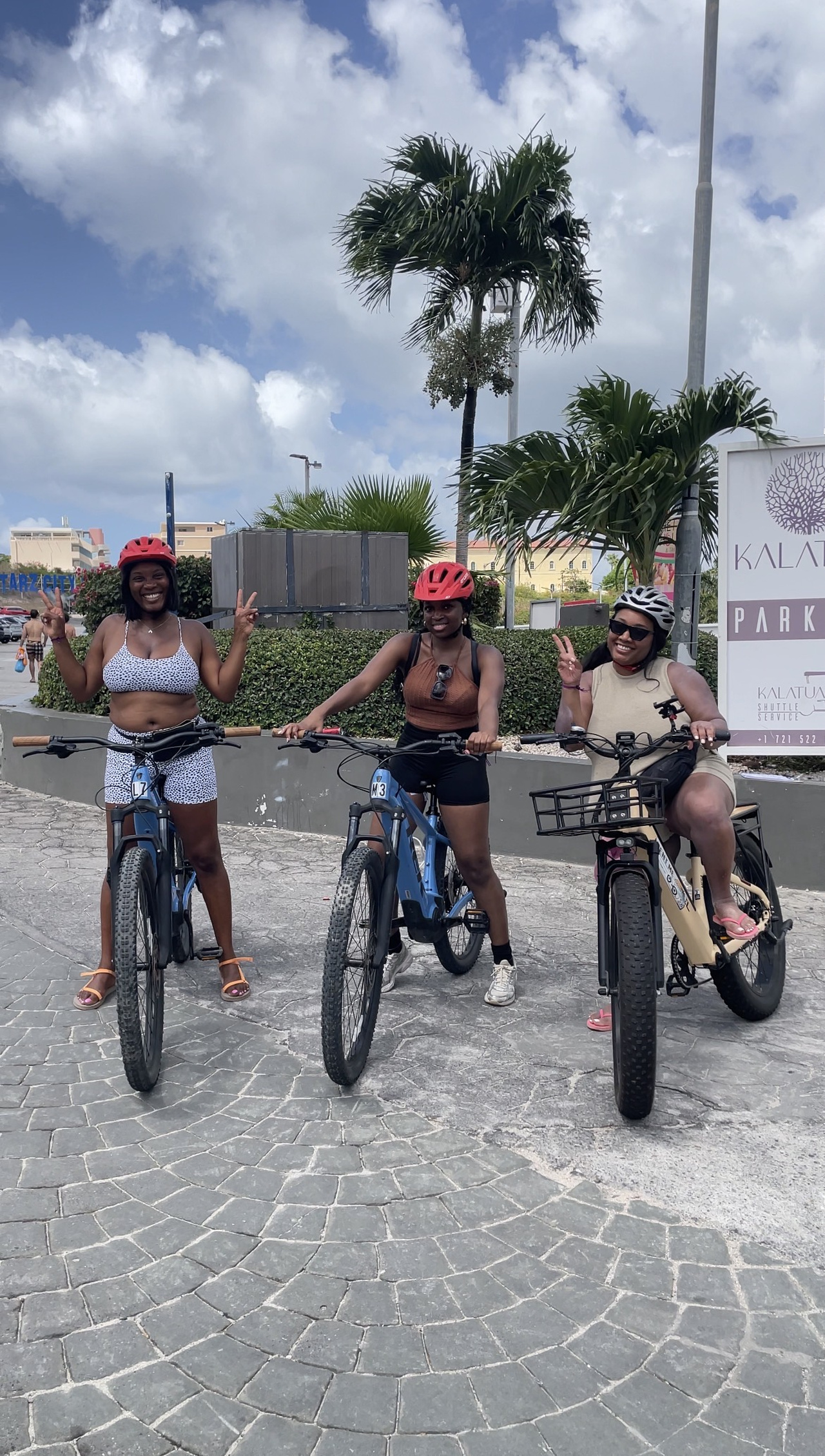 Island Escape electric bike rental gallery image 3 in St. Maarten
