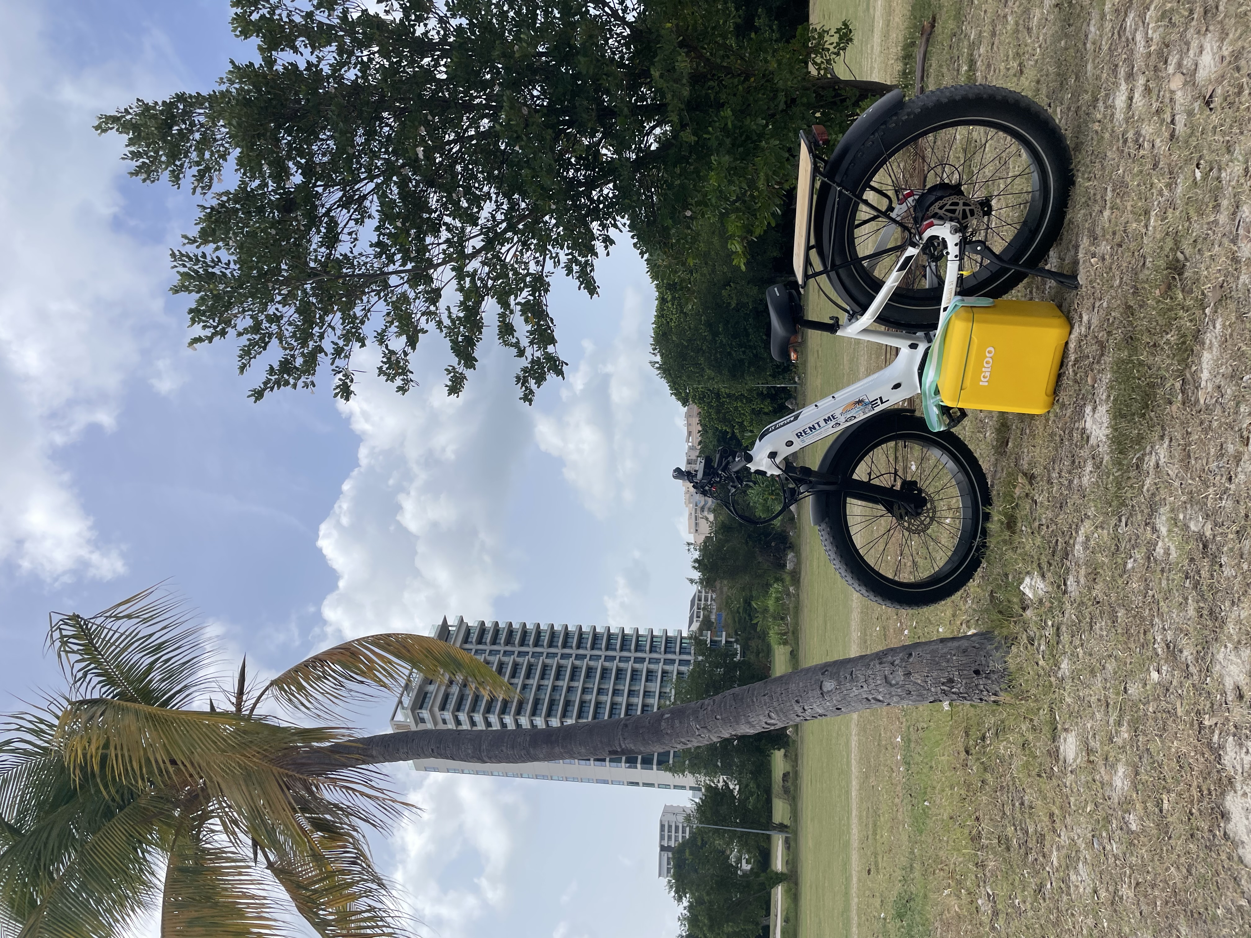 Island Escape electric bike rental gallery image 10 in St. Maarten